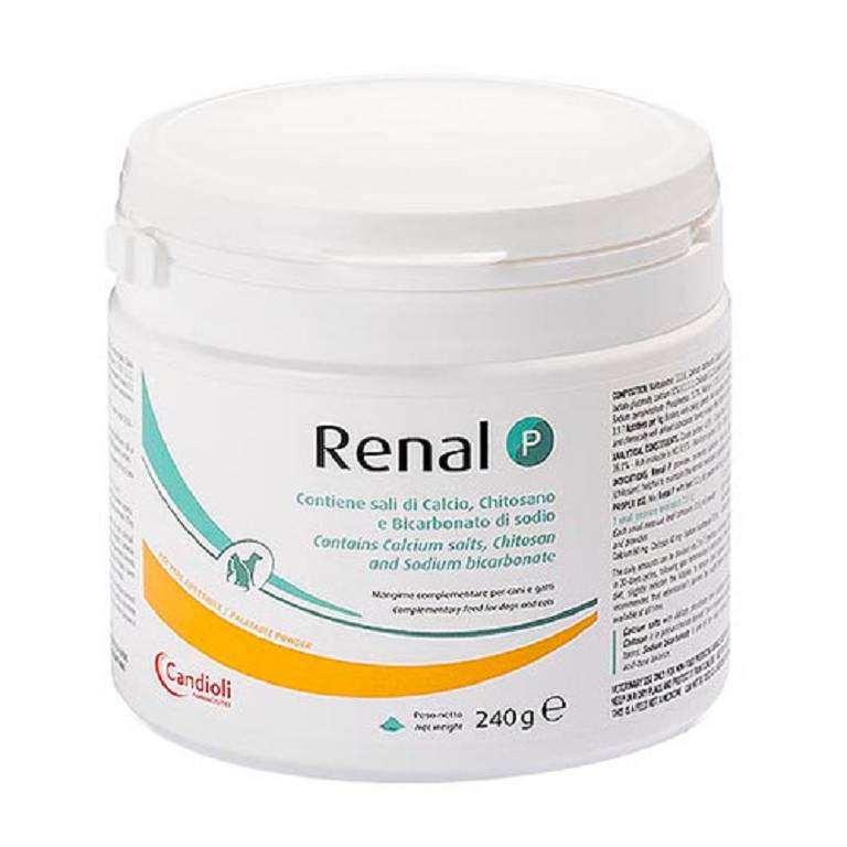 RENAL P 240G